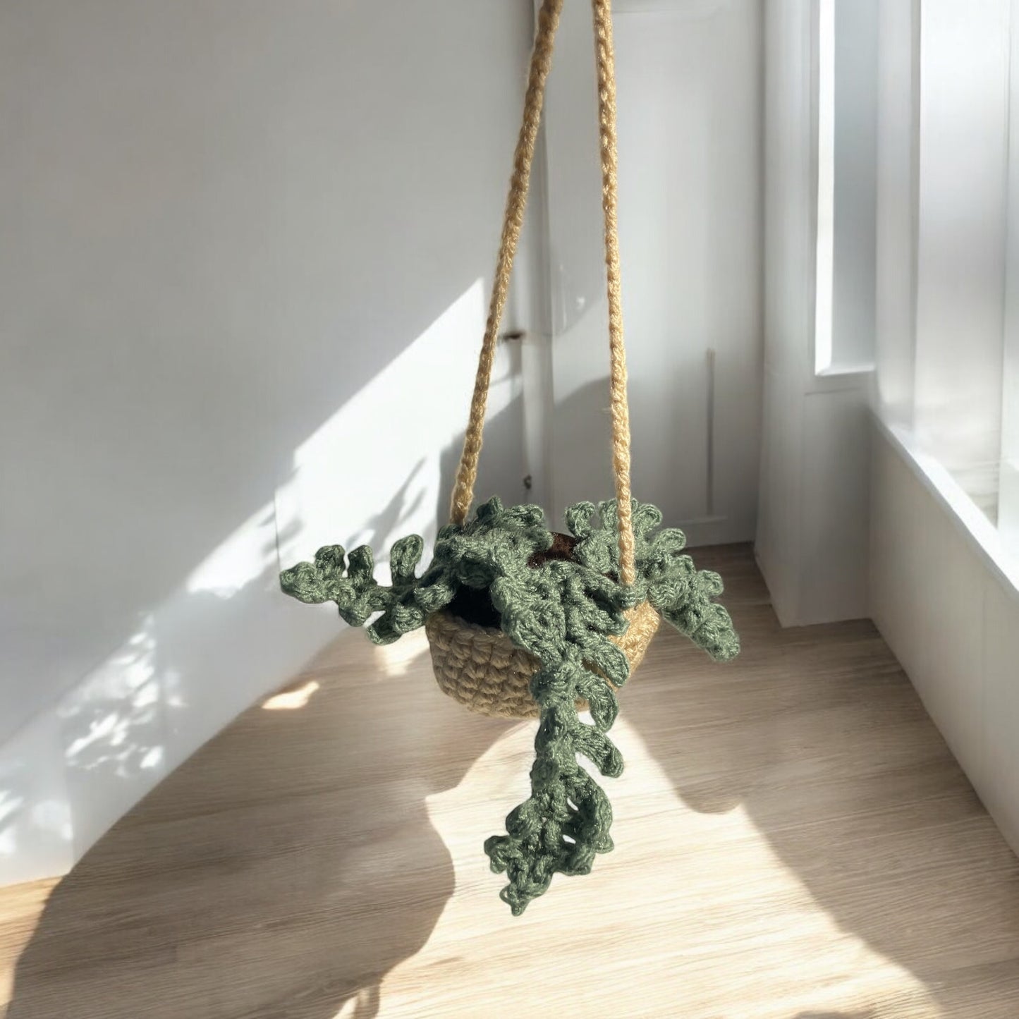 Car Hanging Plant