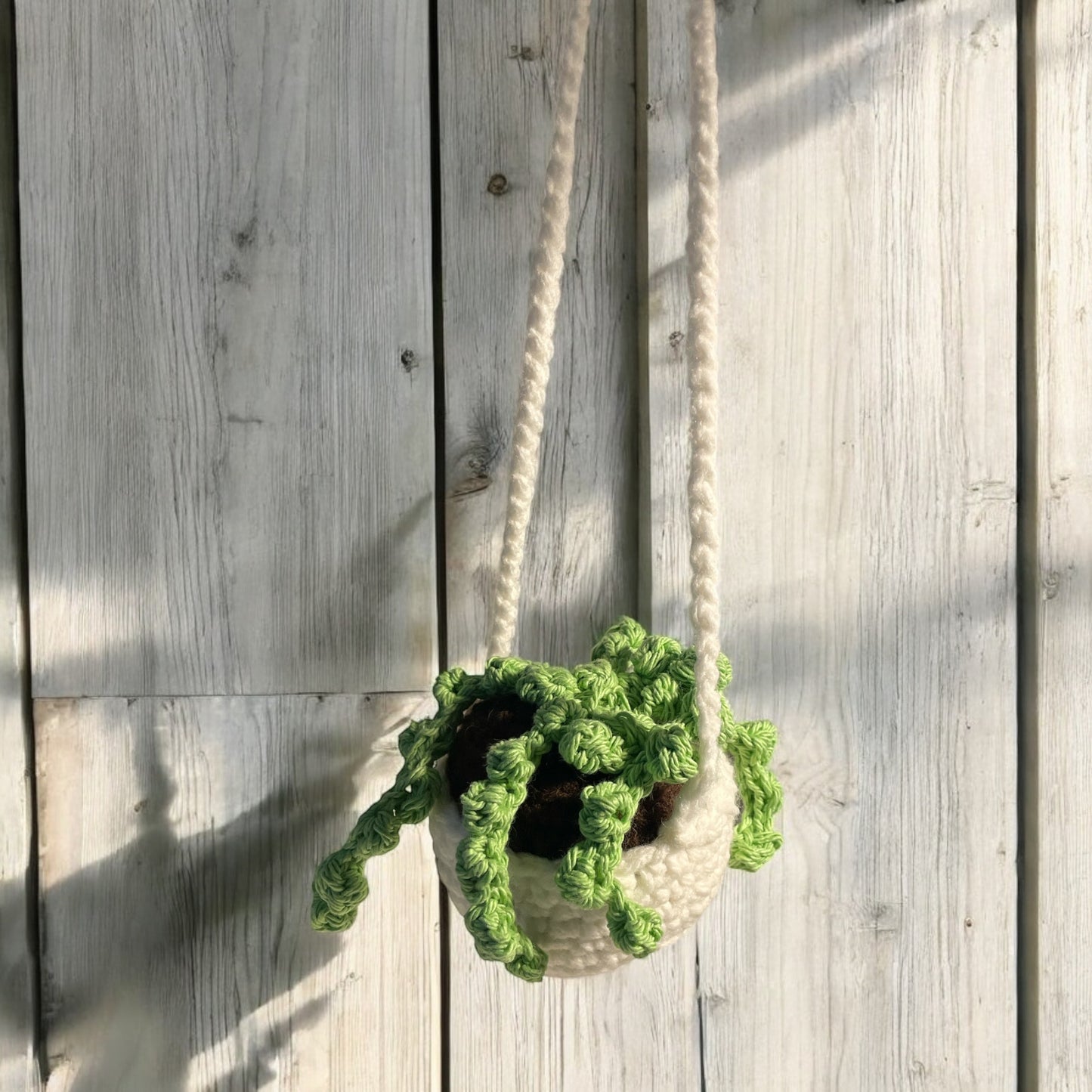 Car Hanging Plant